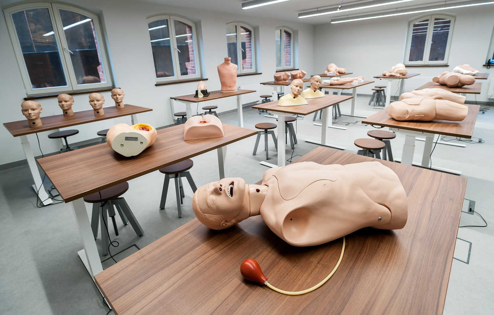 Sala z manekinem głowy na stole, otoczona ławkami i materiałami edukacyjnymi.